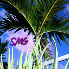 Over the Bridge (SMG) prod. Sweet Meek