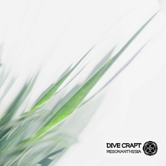 Dive Craft - Reverberants