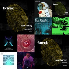 FORENSIC BULLET MIX -  SEAN HARVEY