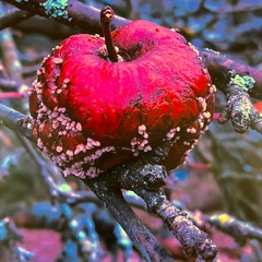 Nature Uses Everything