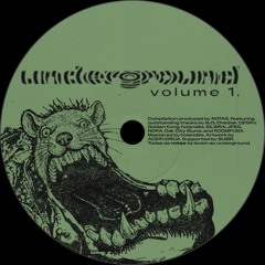 Oak City Slums - GOHEDGIRL