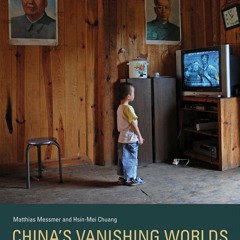 Read_ China's Vanishing Worlds: Countryside, Traditions, and Cultural Spaces (Mit