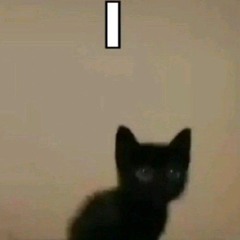 www