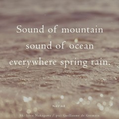 Everywhere Spring Rain (naviarhaiku487)