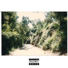 HEAVY (feat. OGugly) [Bonus Track]
