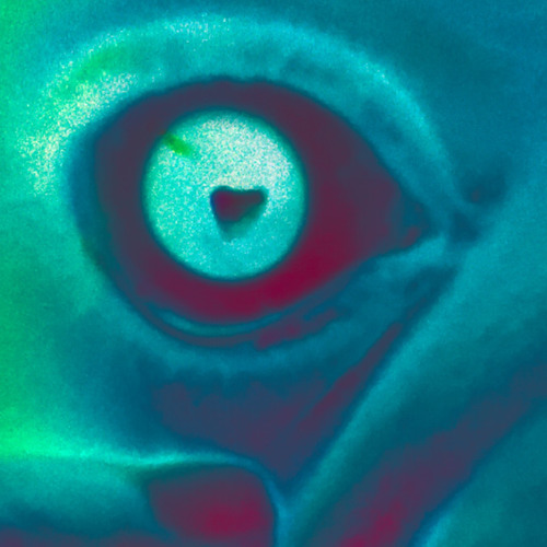 Muddmonster(prod. Jaegloryy)