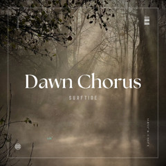 Dawn Chorus