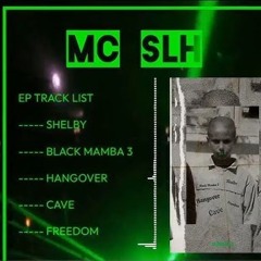 SLH - BM3
