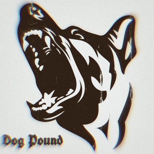 Dog Pound (Prod. Mathiastyner)