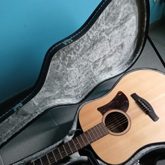 Guitar G.