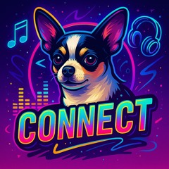 Connect 🚫⏭️ (Só Hits Eletrônicos)