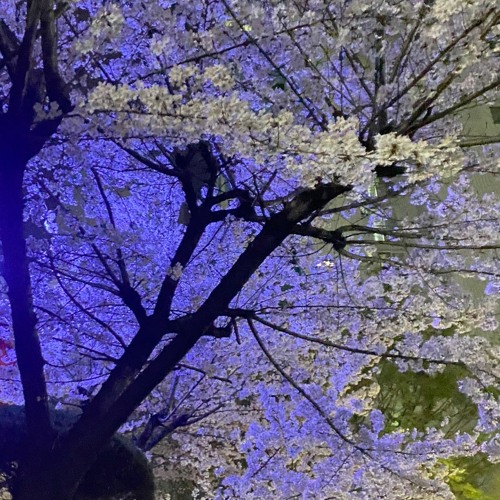 편지 (cover.)