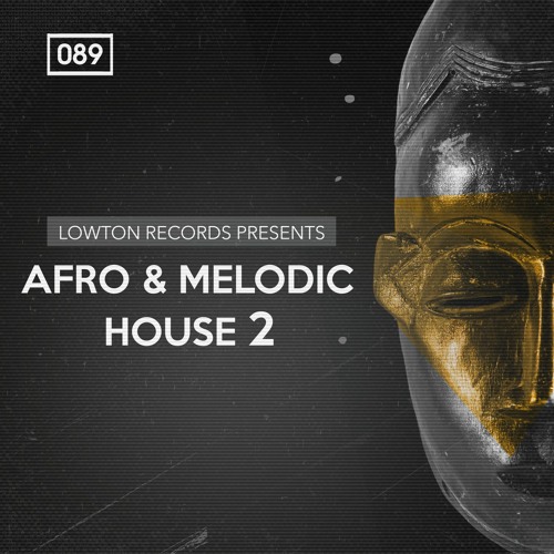 Bingoshakerz Afro And Melodic House 2 By Lowton Records MULTi-FORMAT-DISCOVER