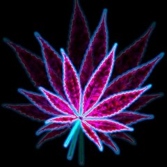 Районный - FLY FLY FLY (Kr.Rec.2020)