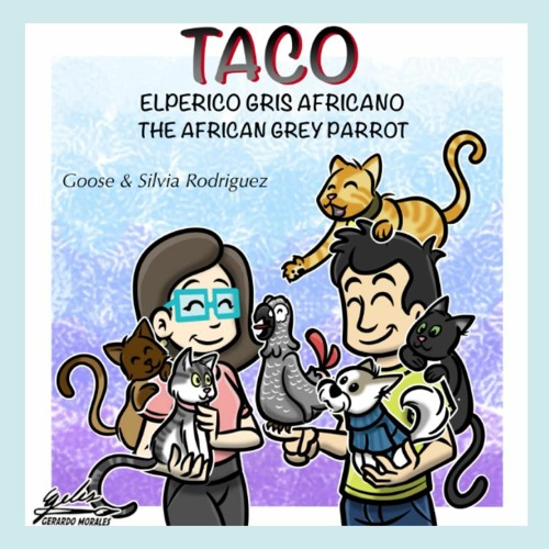 Stream⚡️DOWNLOAD❤️ TACO THE AFRICAN GREY PARROT - EL PERICO GRIS AFRICANO