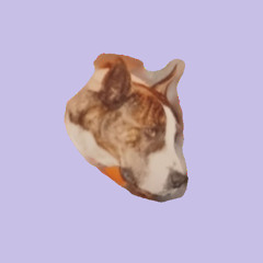 TOP DOG