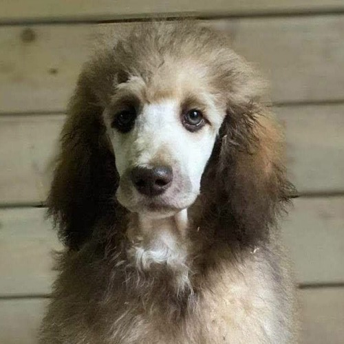 Mørke Sjel - Chilling in The light (ft. BMAY)