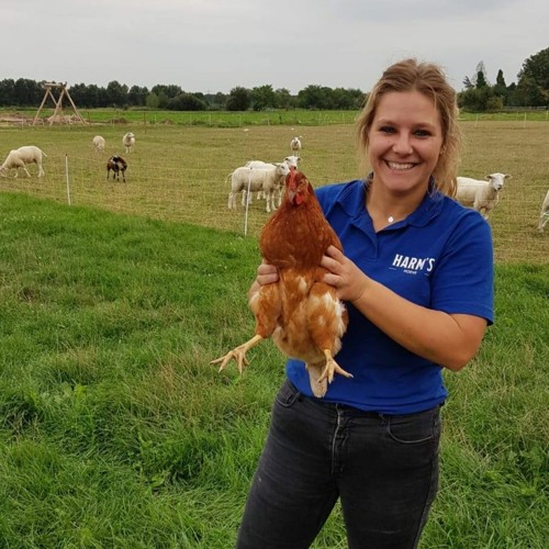 Fenna Bruijsten – Auto-safari op Harm’s Hoeve