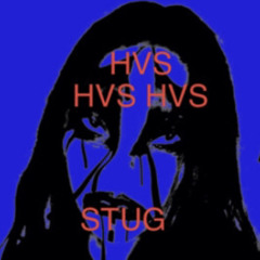 HVS - $UIKERWVTER