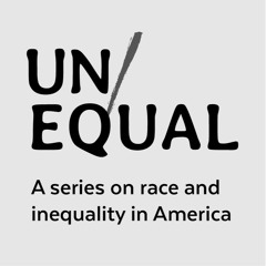 Unequal: The flaws in our data