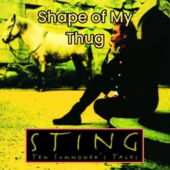 REMIX Friendly Thug (Shape of My Heart)