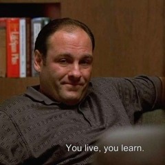 you live you learn (salvia palth - dream × tony soprano)