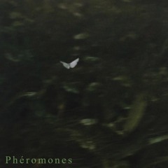Phéromones (Mitchxy)