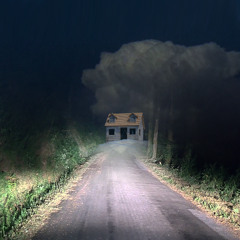 Calm of the Midnight Forest