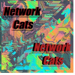 Network Cats