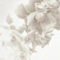 vigil w/ sleepy randy