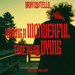 Having a Wonderful Time as I'm Dying (prod. CASUAL AFFAIRS)