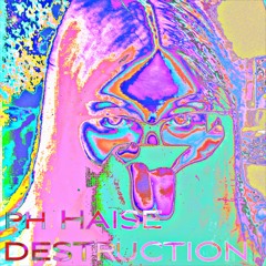Destruction (slowed)
