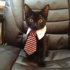 3005#6_5~Industrial Core