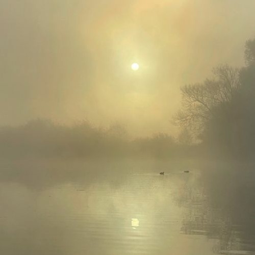 Organic - Jan 2023