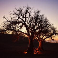 When The World Was Young