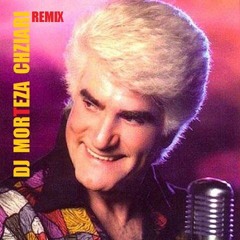 ویگن ریمیکس آهنگ زن کاری از دی جی مرتضی چیذری