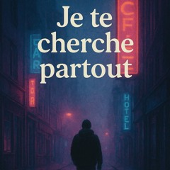 Je te cherche partout ( version finale ) .mp3