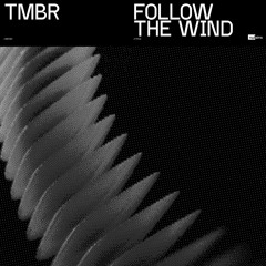 TMBR - Follow the Wind