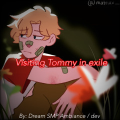 Visiting Tommy in Exile (By dev on YT)