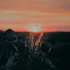 Dawn