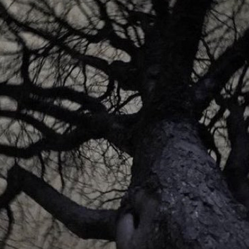 BETWEENUS PROD (@waakeful)