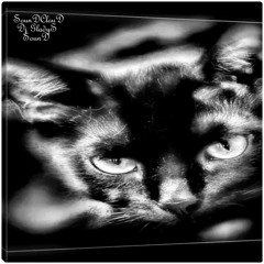 Dj-Gladys-Sound (Graffik30 The Cat)