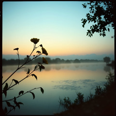 La llorona Adaptación