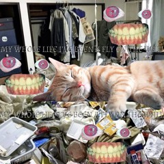 MyWholeLifeI'veBeenAFlyOnTheWall