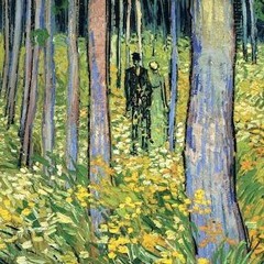 do you see the colors?