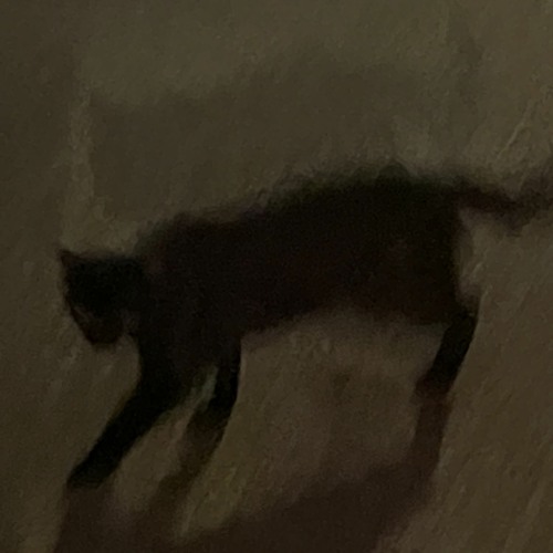 need to know - laroi unreleased (cover)