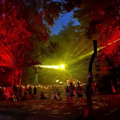 Groove Delight [Prog House]