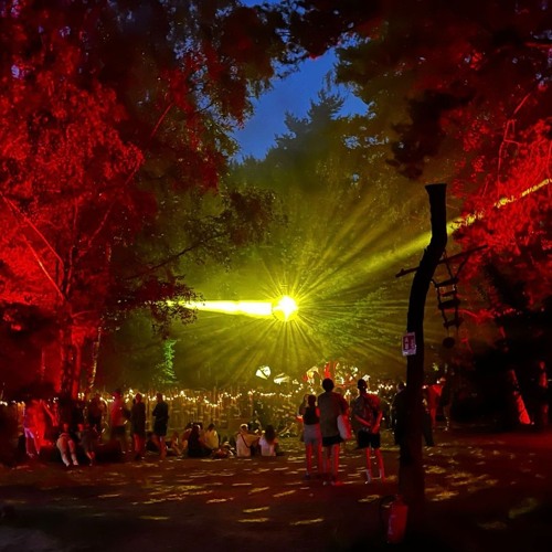 Groove Delight [Prog House]