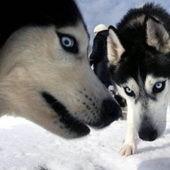 i was already broken before i noticed