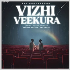main vizi